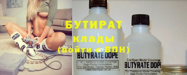 молекула духа Вяземский