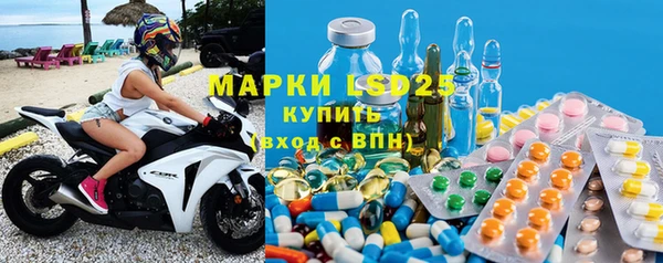 молекула духа Вяземский