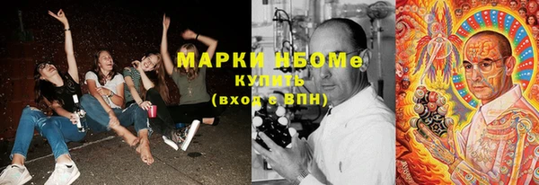 spice Карпинск