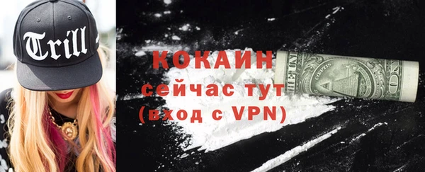ГАЛЛЮЦИНОГЕННЫЕ ГРИБЫ Касимов